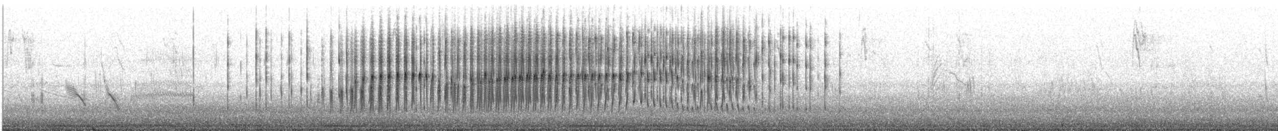 Necklaced Spinetail (La Libertad) - ML637494151
