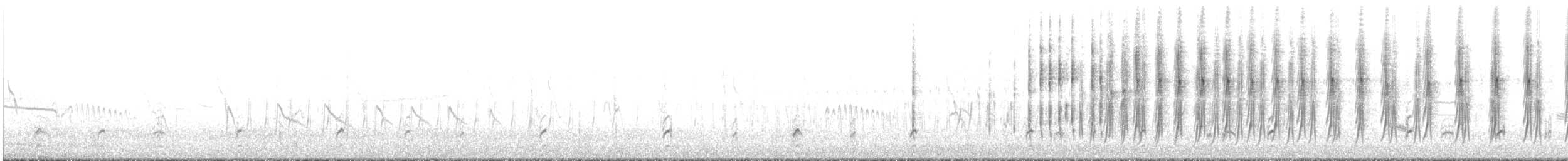 Necklaced Spinetail (La Libertad) - ML637494168