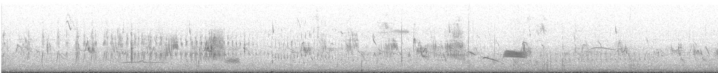 Necklaced Spinetail (La Libertad) - ML637494169