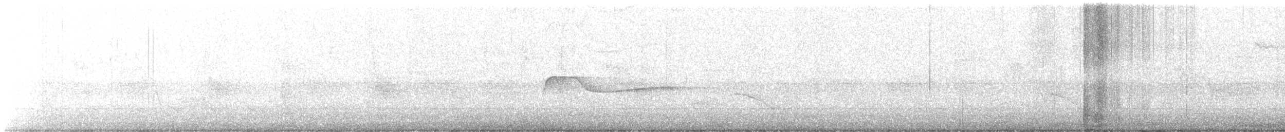 Eastern Wood-Pewee - ML637494845