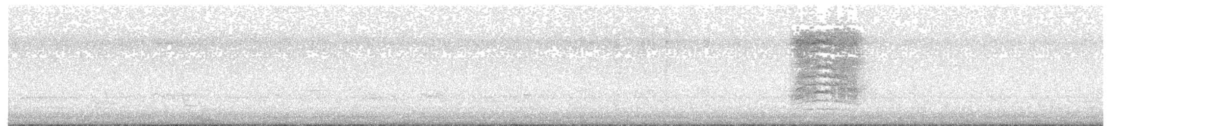 ネコマネドリ - ML637495153