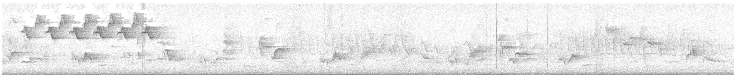 Black-and-white Warbler - ML637495591