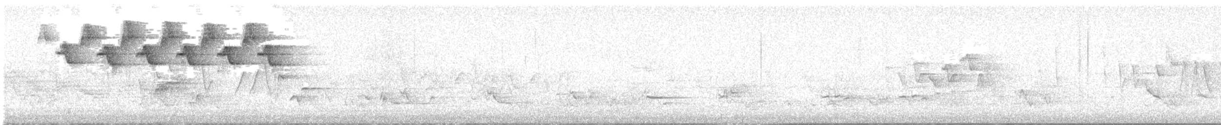 Black-and-white Warbler - ML637495599