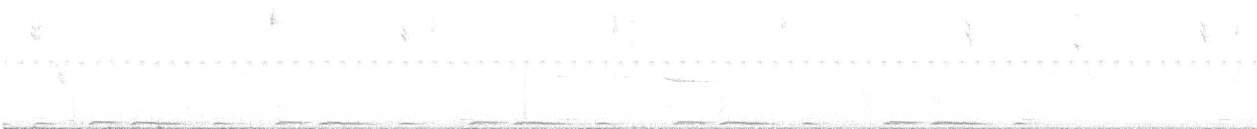 Eurasian Collared-Dove - ML637496229