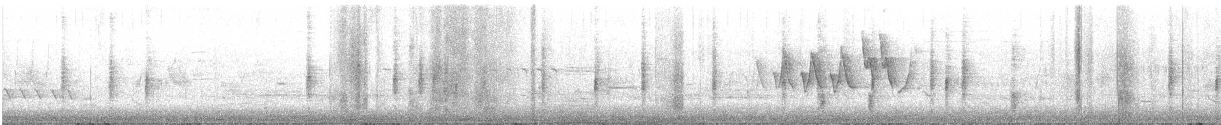 Chestnut-sided Warbler - ML637497197