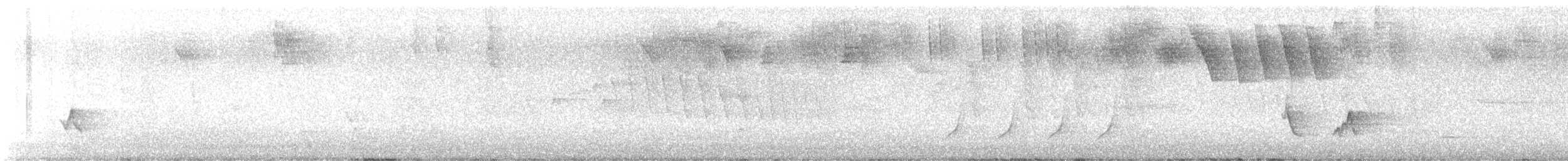 Black-whiskered Vireo - ML637499329