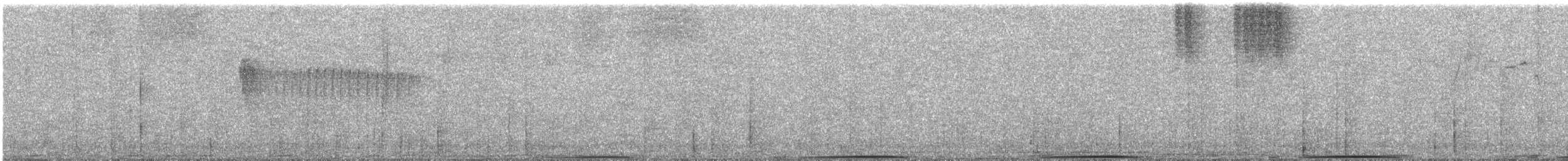 Band-tailed Pigeon - ML637499864
