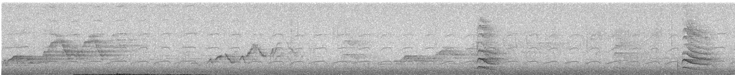 Red-breasted Sapsucker - ML637500001