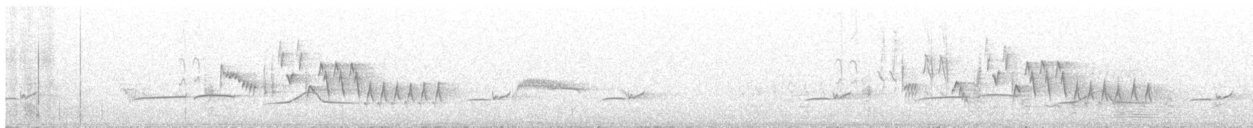 Greater Pewee - ML637500041