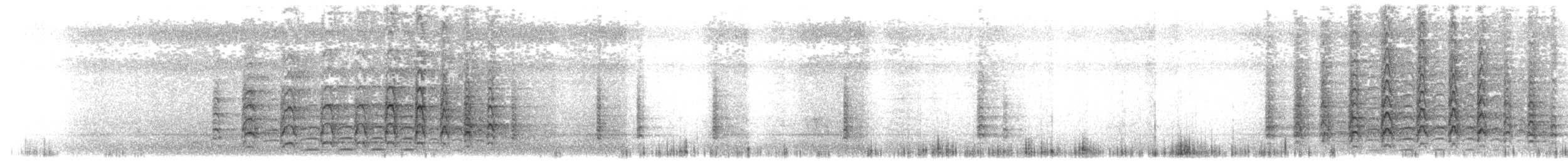 Oriental Pied-Hornbill - ML637500905