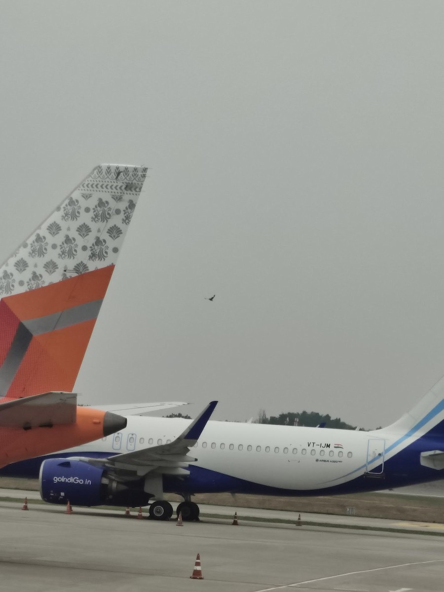 Тольт бор тодол - ML637501111