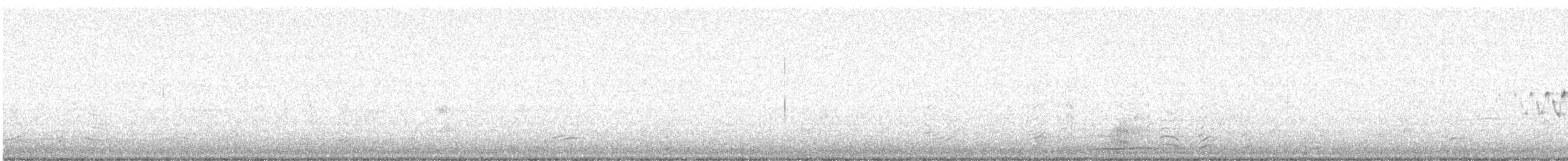 Kiefernwaldsänger - ML637503028