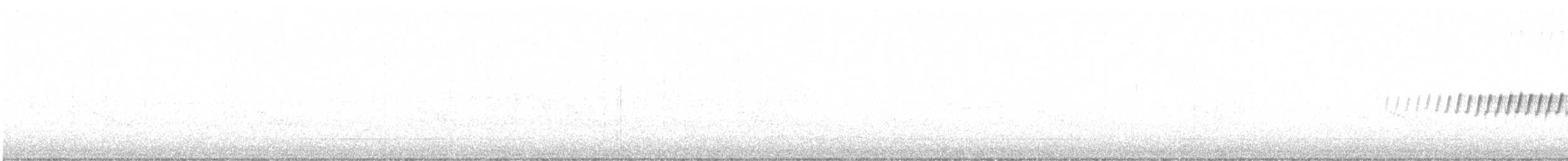 Kiefernwaldsänger - ML637503030