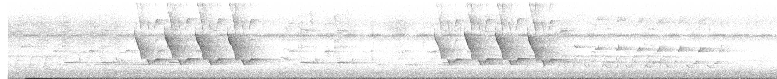 Carolina Wren - ML637503594