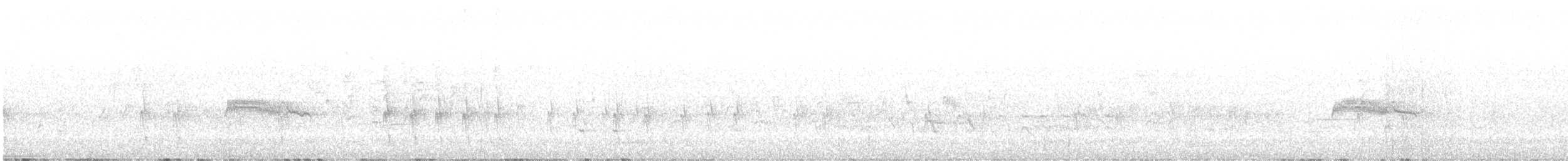 Cassia Crossbill - ML637504511