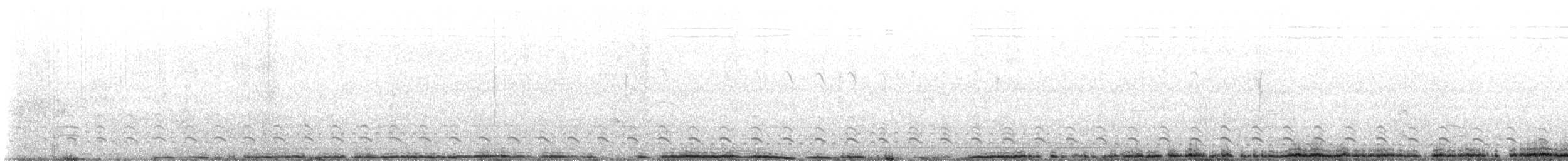 Double-striped Thick-knee - ML637504844