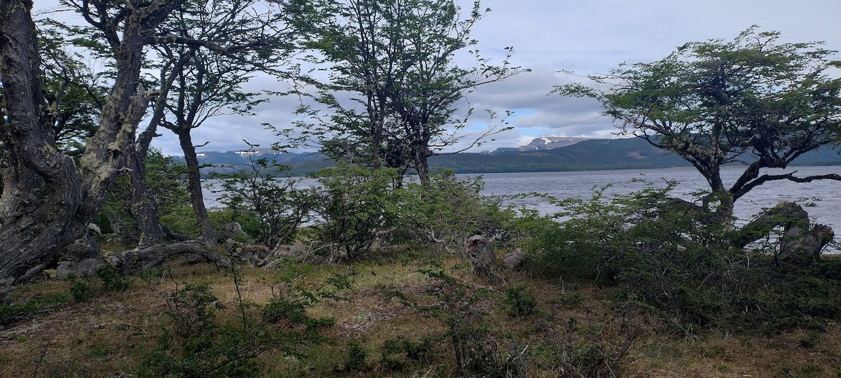 null - ML637505839