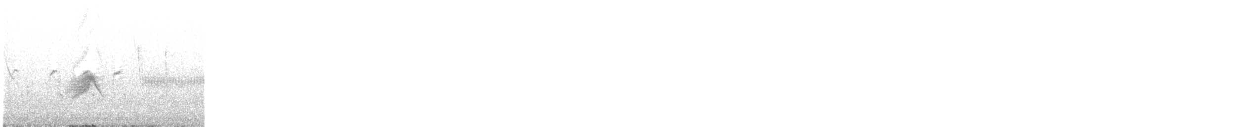 Alder Flycatcher - ML637506853