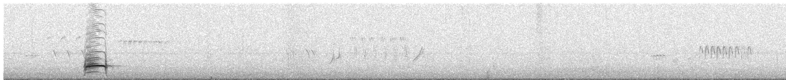 Scaled Quail - ML637506931