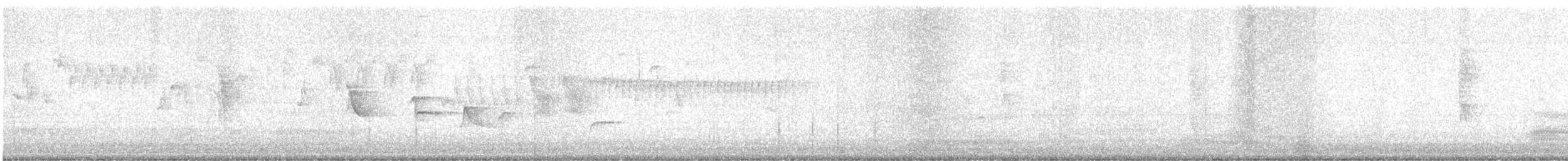 Pacific Wren - ML637507669