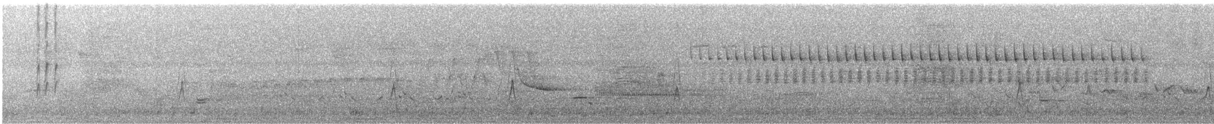vierempid - ML637509242