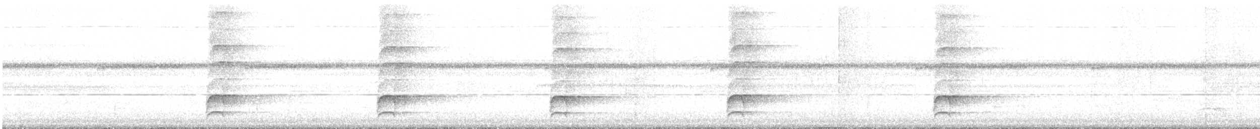 Laced Woodpecker - ML637510713