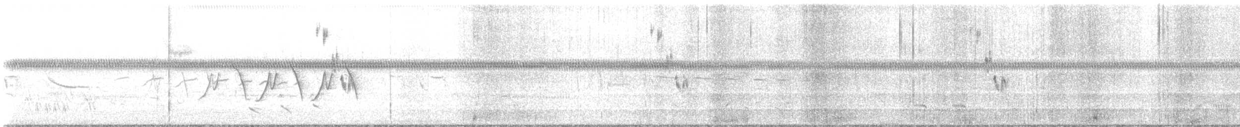 brakkspurv - ML637511270