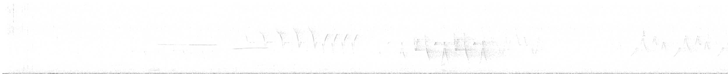 Connecticut Warbler - ML637511773