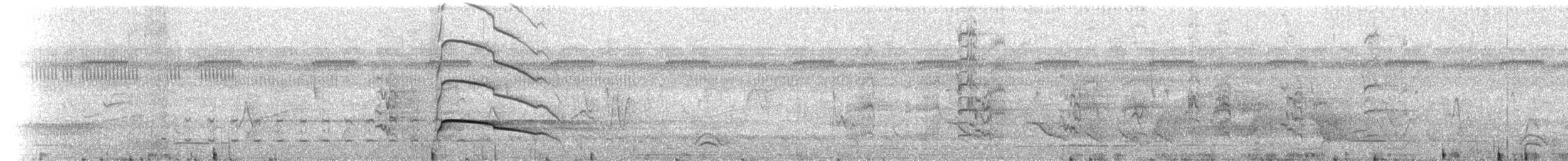 Gray-lined Hawk - ML637513219