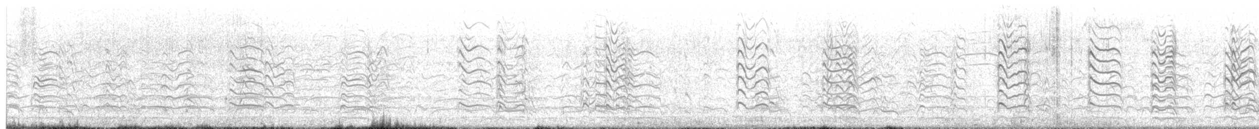 Antxeta mokogorri amerikarra - ML637513603