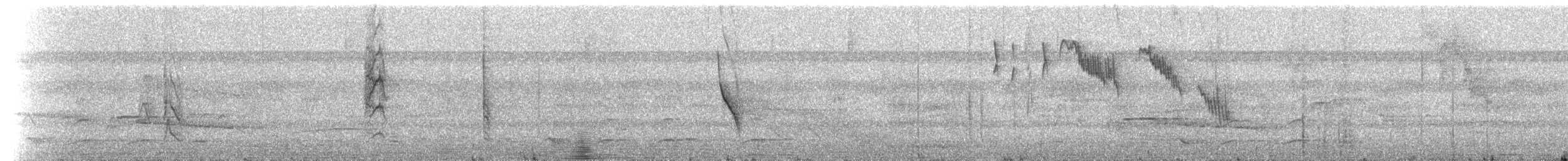 Lined Seedeater - ML637513634