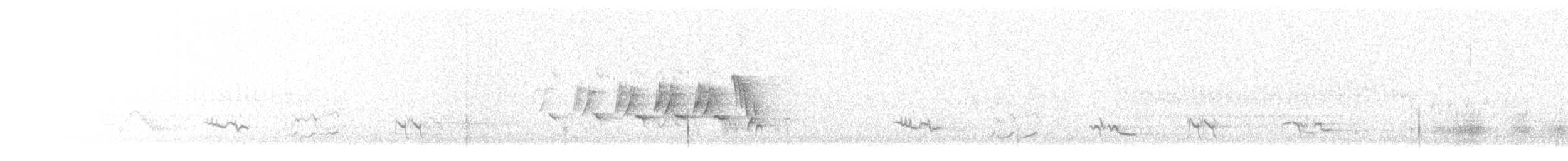 MacGillivray's Warbler - ML637515574