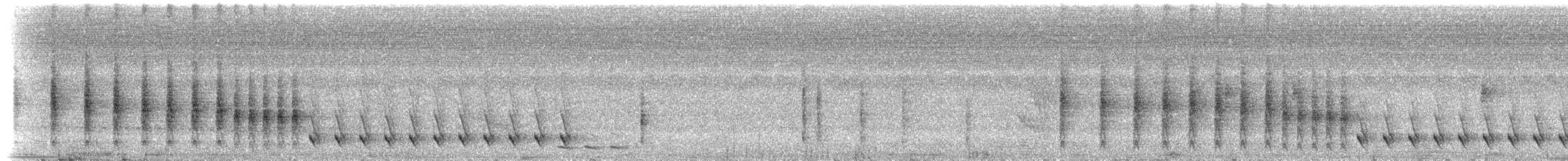 Chattering Gnatwren - ML637516436