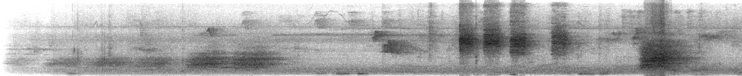 緋紅金剛鸚鵡 - ML637516603