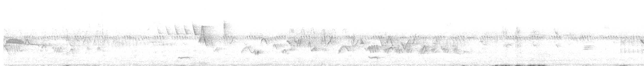 Mountain Quail - ML637516677