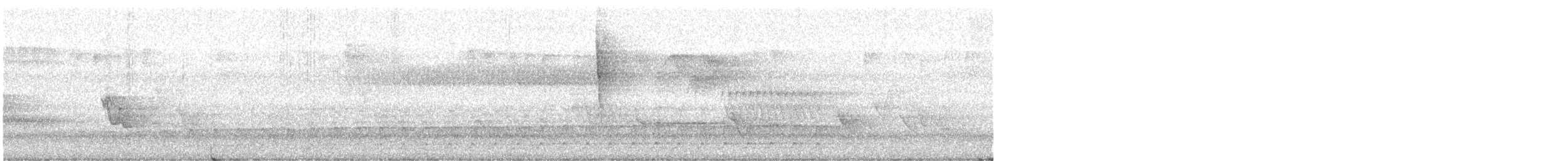 hvitbrynsvartspett - ML637518836