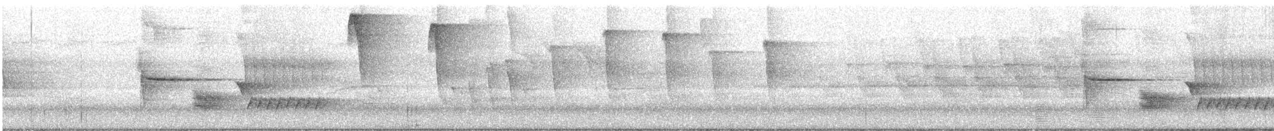 rødsidetovi - ML637518867