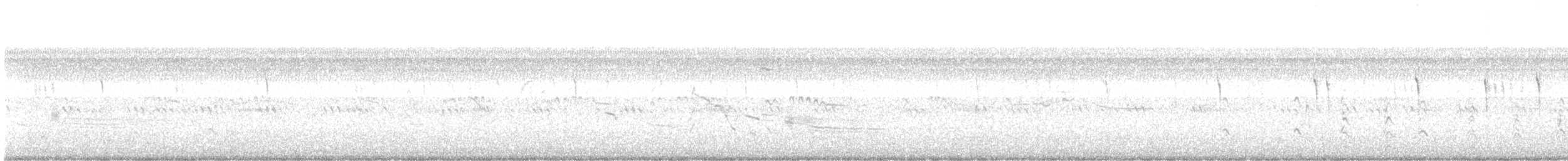 Rivoli's Hummingbird - ML637519183
