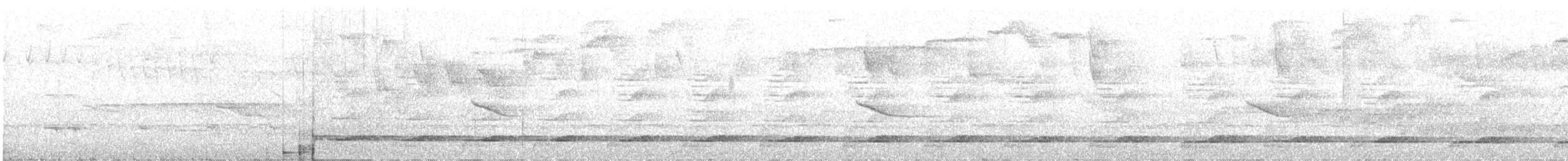 Gorgeted Wood-Quail - ML637520528