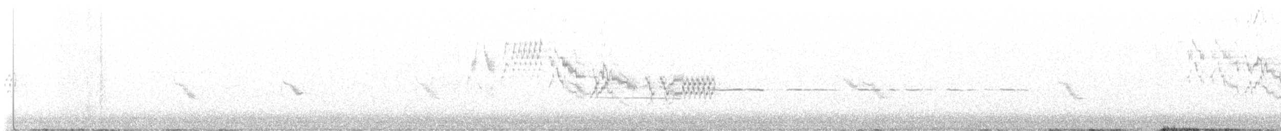 Bicknell's Thrush - ML637521742