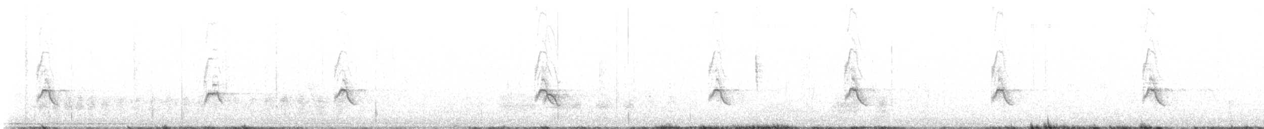 hýl černozobý - ML637522060