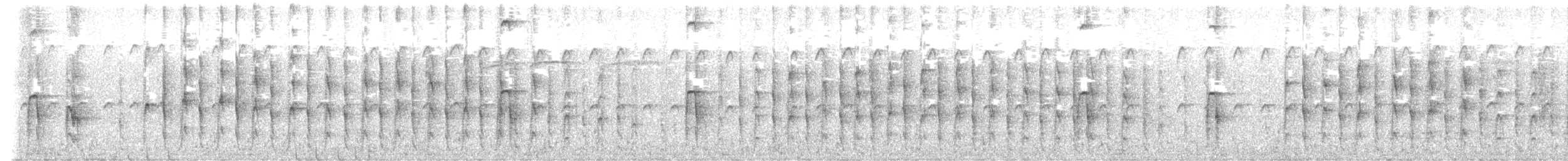 Hairy Woodpecker - ML637522152