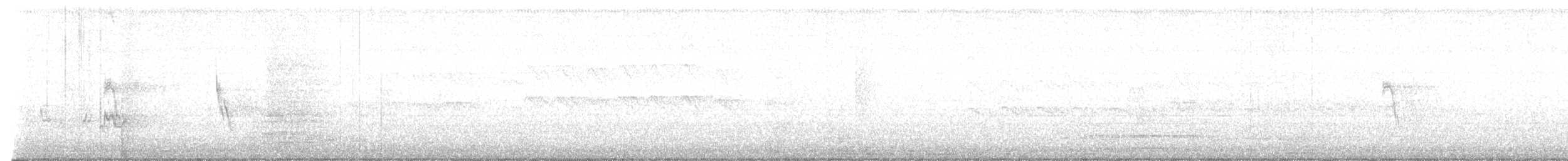 Northern Gray-headed Sparrow