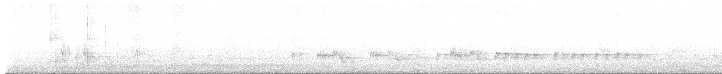 African Pied Wagtail - ML637523969