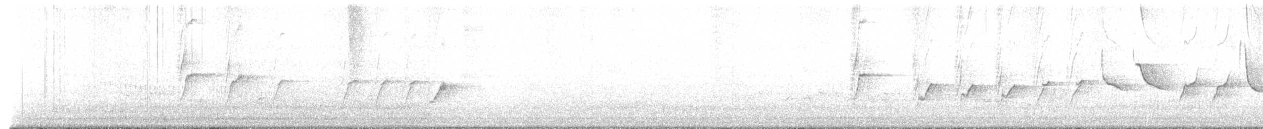 African Pied Wagtail - ML637524295