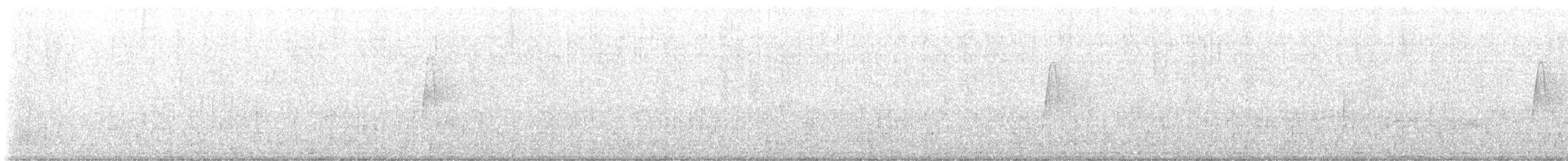østempid - ML637526360