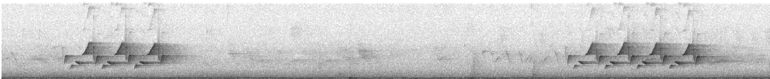 Carolina Wren - ML637526483