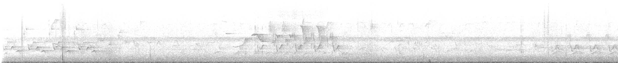 kentuckyparula - ML637528024