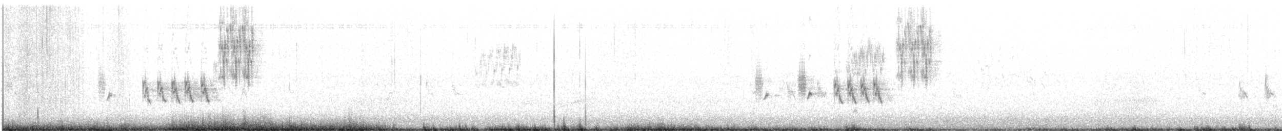 papežík americký - ML637528139