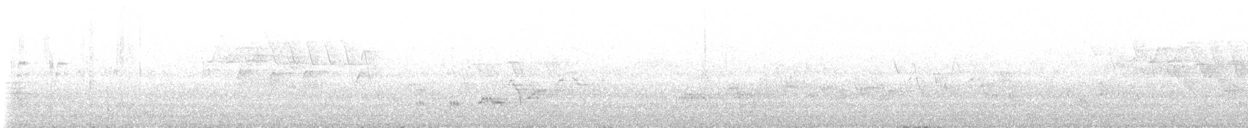 Swainson's Thrush - ML637528550